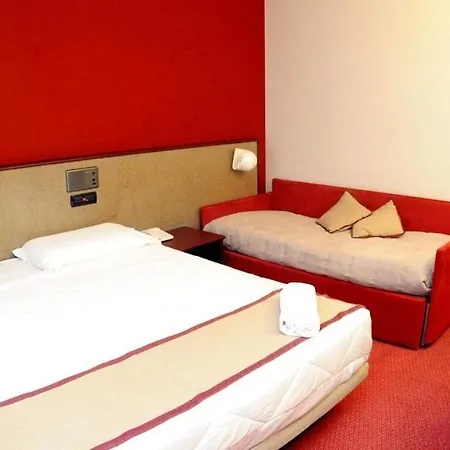 Gotha Turin Airport Hotel 4*